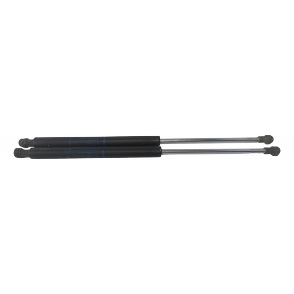 Par Amortecedor Tampa Tras Renault Clio 2002 2003 2004 2005